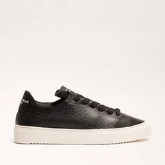 Poppy Lace Up Sneaker